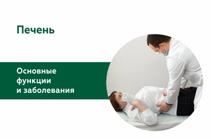 Что нужно знать о печени?